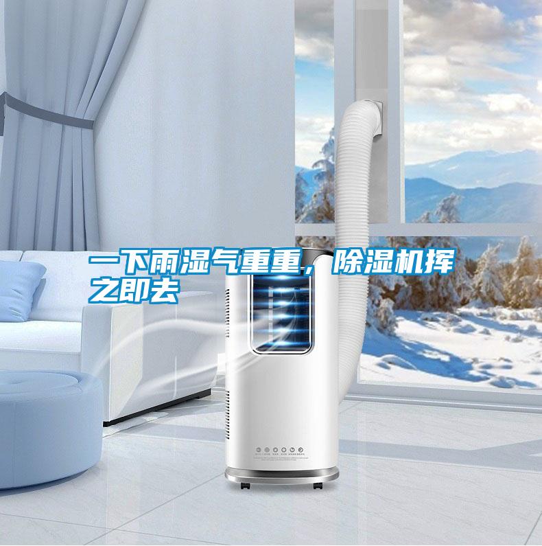一下雨濕氣重重，除濕機揮之即去