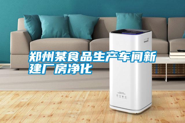 鄭州某食品生產(chǎn)車間新建廠房?jī)艋?/></p>
						    <p style=