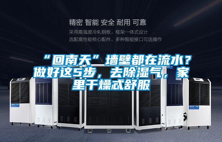 “回南天”墻壁都在流水?做好這5步,去除濕氣,家里干燥忒舒服