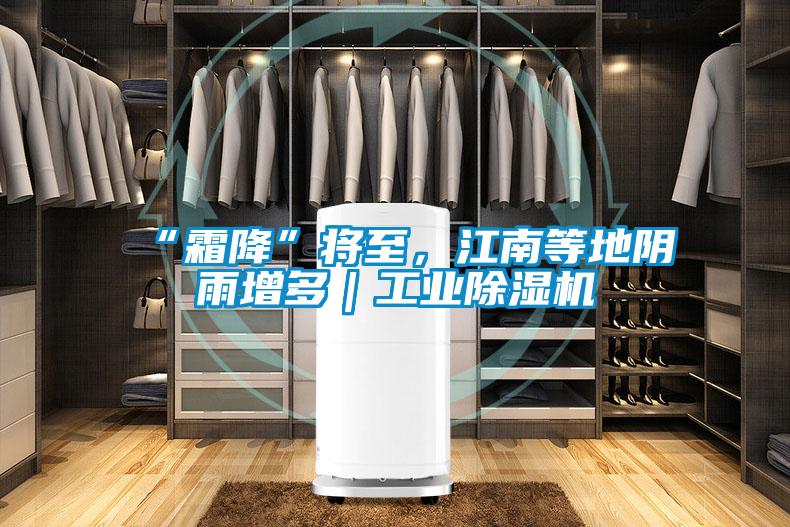 “霜降”將至,江南等地陰雨增多|工業(yè)除濕機