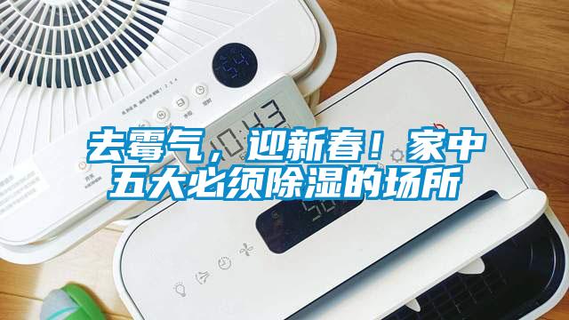 去霉氣，迎新春！家中五大必須除濕的場所