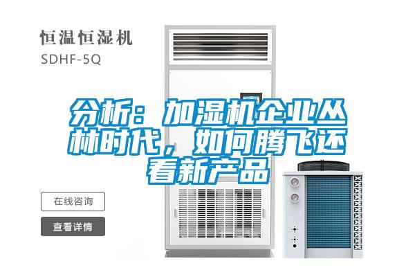分析:加濕機企業叢林時代,如何騰飛還看新產品