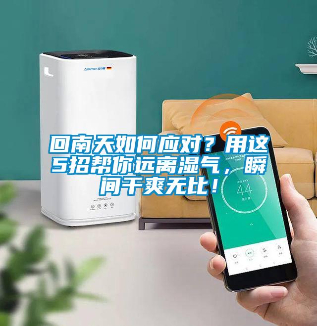 回南天如何應(yīng)對(duì)？用這5招幫你遠(yuǎn)離濕氣，瞬間干爽無比！