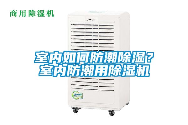室內如何防潮除濕？室內防潮用除濕機