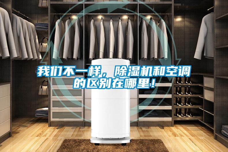 我們不一樣，除濕機和空調的區別在哪里！