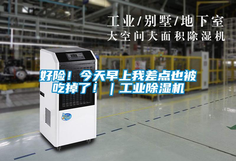 好險！今天早上我差點也被吃掉了?。I除濕機