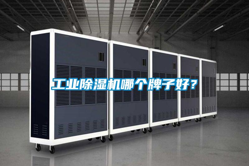 工業(yè)除濕機哪個牌子好？