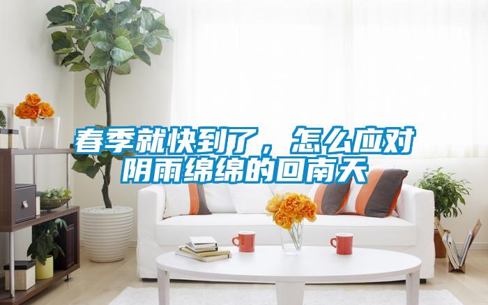 春季就快到了，怎么應對陰雨綿綿的回南天