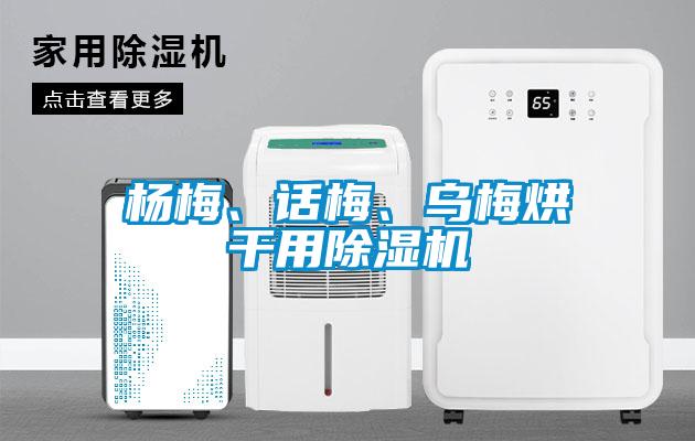 楊梅、話梅、烏梅烘干用除濕機