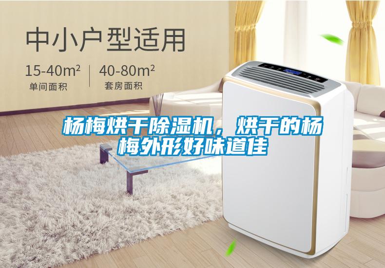 楊梅烘干除濕機，烘干的楊梅外形好味道佳