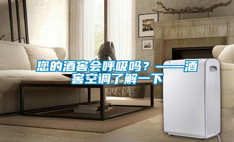 您的酒窖會呼吸嗎？——酒窖空調了解一下