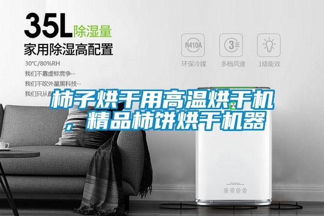 柿子烘干用高溫烘干機(jī)，精品柿餅烘干機(jī)器