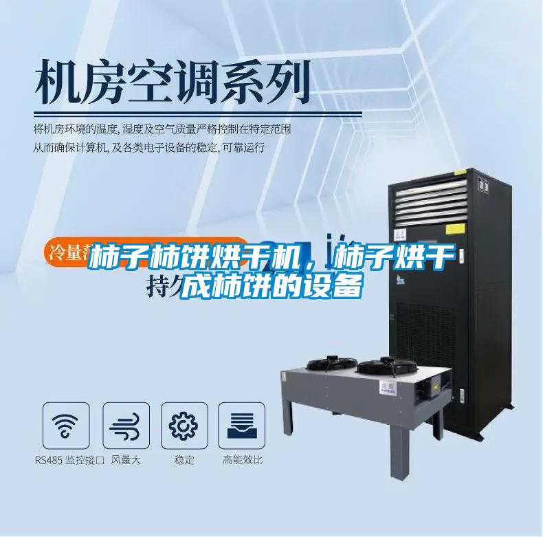 柿子柿餅烘干機(jī),柿子烘干成柿餅的設(shè)備