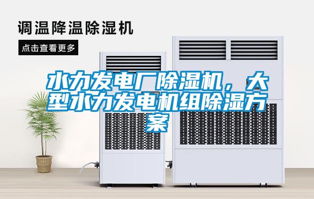 水力發電廠除濕機,大型水力發電機組除濕方案