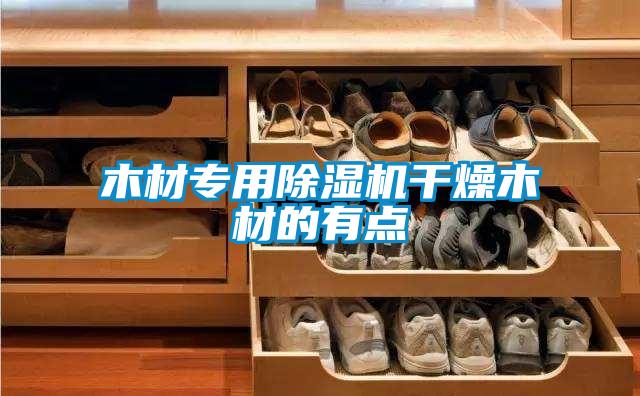 木材專(zhuān)用除濕機(jī)干燥木材的有點(diǎn)