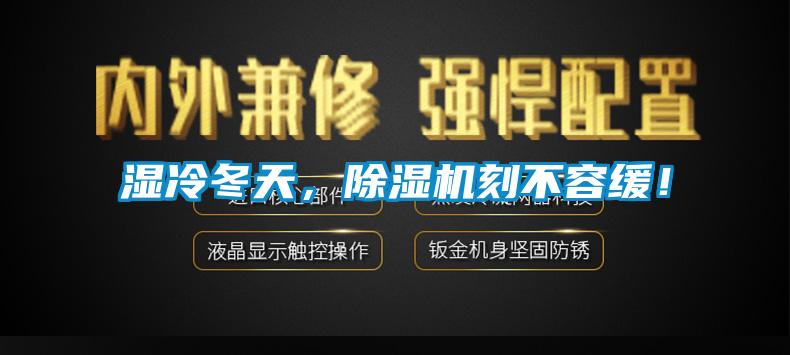 濕冷冬天，除濕機刻不容緩！