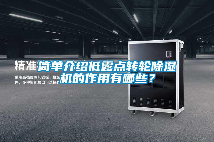 簡單介紹低露點轉(zhuǎn)輪除濕機(jī)的作用有哪些？