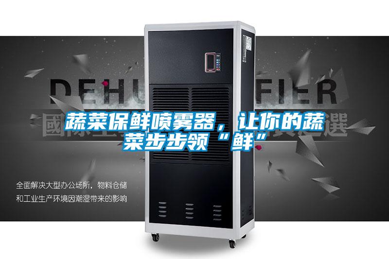 蔬菜保鮮噴霧器，讓你的蔬菜步步領“鮮”