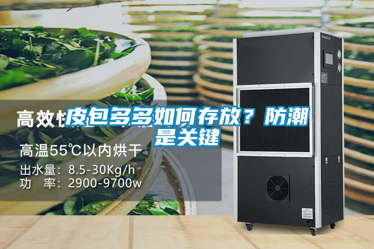 皮包多多如何存放？防潮是關鍵