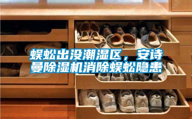 蜈蚣出沒潮濕區(qū)，安詩曼除濕機(jī)消除蜈蚣隱患