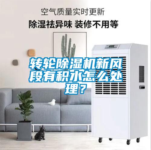 轉輪除濕機新風段有積水怎么處理？