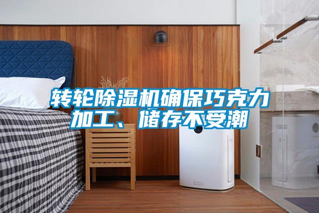 轉(zhuǎn)輪除濕機(jī)確保巧克力加工、儲存不受潮