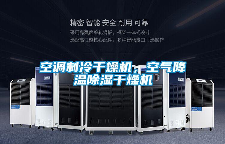 空調(diào)制冷干燥機(jī)，空氣降溫除濕干燥機(jī)