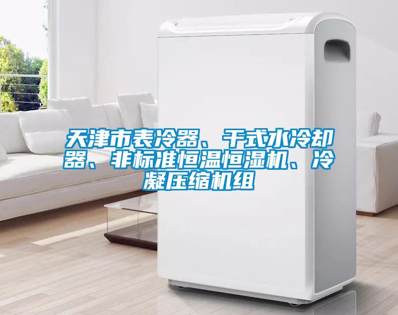天津市表冷器、干式水冷卻器、非標準恒溫恒濕機、冷凝壓縮機組
