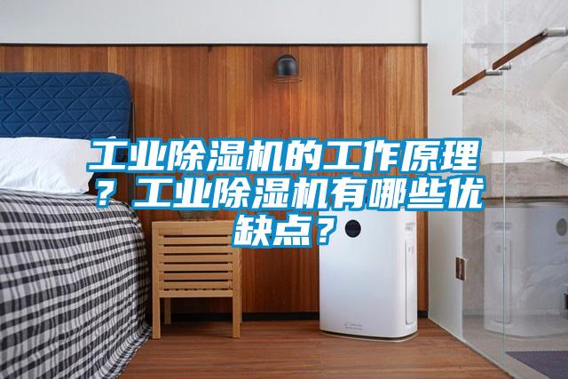工業除濕機的工作原理？工業除濕機有哪些優缺點？