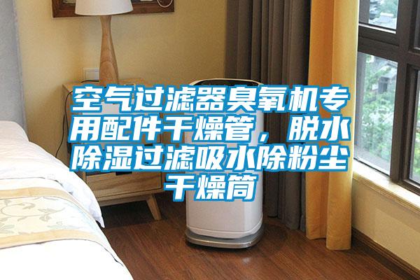 空氣過濾器臭氧機(jī)專用配件干燥管，脫水除濕過濾吸水除粉塵干燥筒