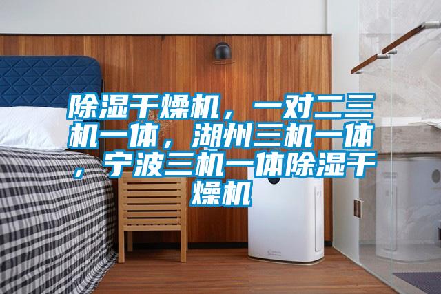 除濕干燥機(jī)，一對(duì)二三機(jī)一體，湖州三機(jī)一體，寧波三機(jī)一體除濕干燥機(jī)