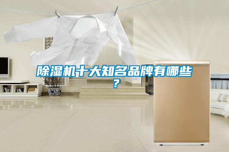 除濕機十大知名品牌有哪些？