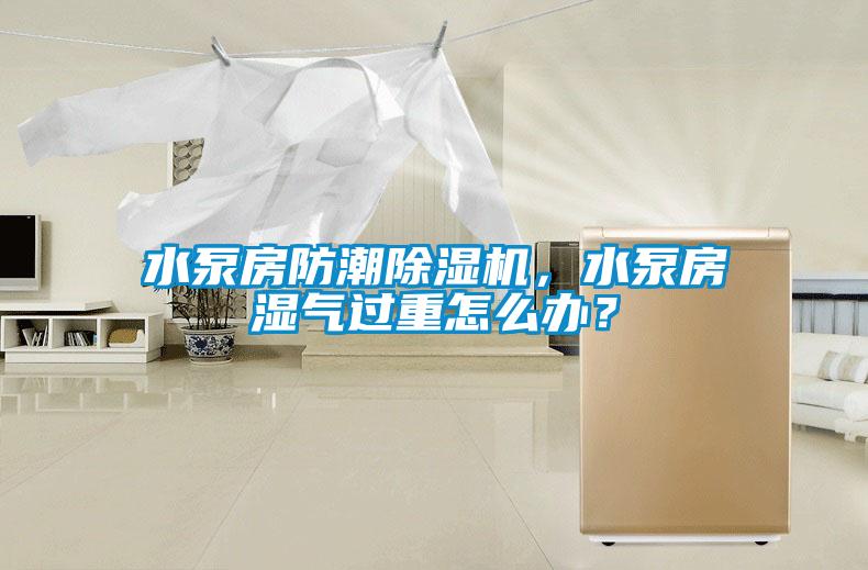 水泵房防潮除濕機(jī)，水泵房濕氣過重怎么辦？