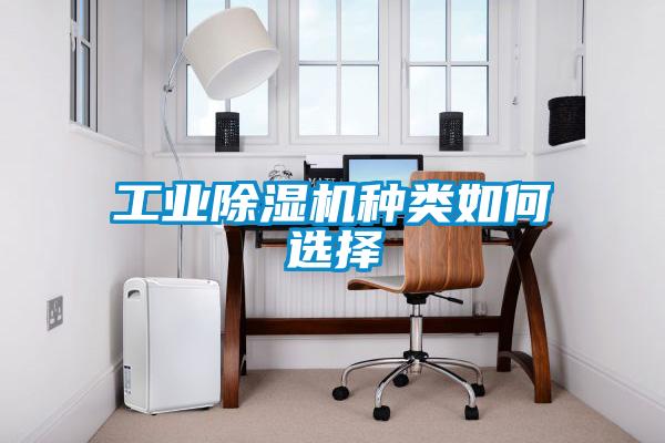 工業(yè)除濕機種類如何選擇