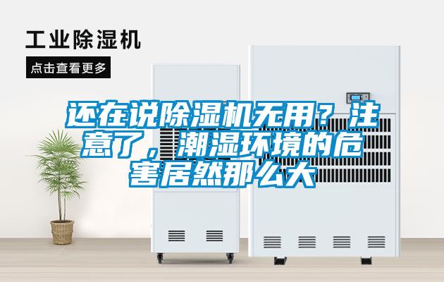 還在說除濕機無用？注意了，潮濕環境的危害居然那么大