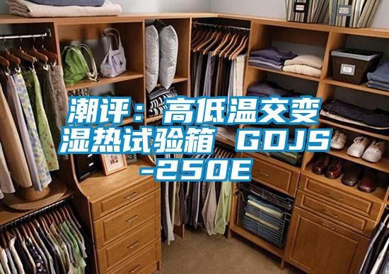 潮評:高低溫交變濕熱試驗箱 GDJS-250E