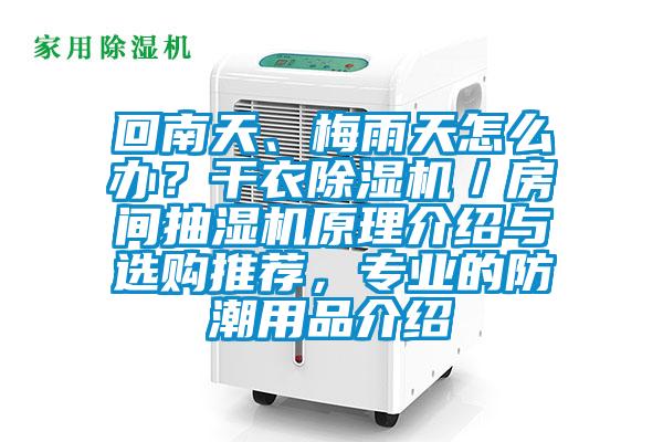 回南天、梅雨天怎么辦？干衣除濕機(jī)／房間抽濕機(jī)原理介紹與選購(gòu)?fù)扑]，專業(yè)的防潮用品介紹