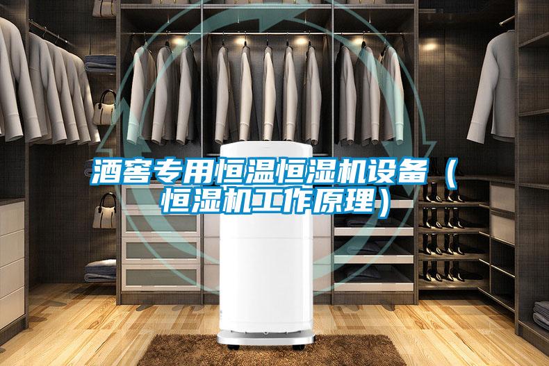 酒窖專用恒溫恒濕機設備(恒濕機工作原理)