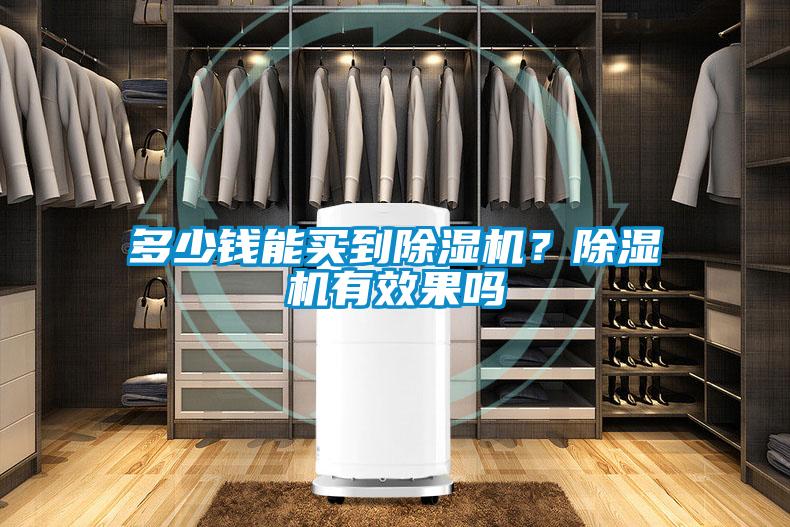 多少錢能買到除濕機？除濕機有效果嗎