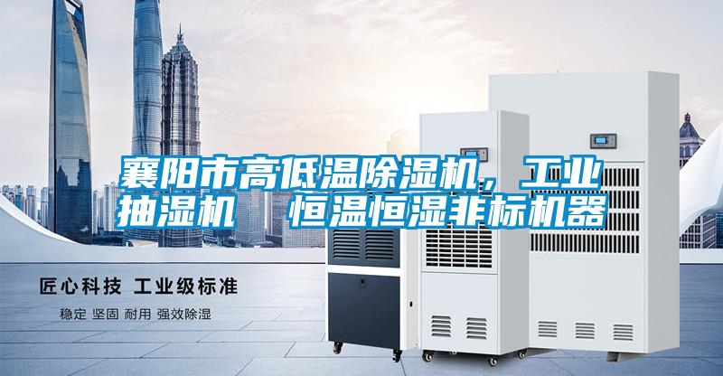襄陽市高低溫除濕機(jī)，工業(yè)抽濕機(jī)  恒溫恒濕非標(biāo)機(jī)器