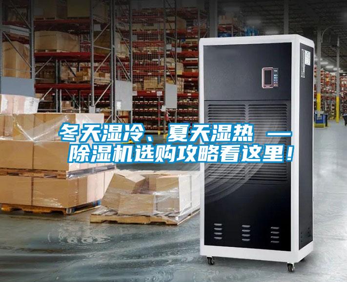 冬天濕冷、夏天濕熱 — 除濕機選購攻略看這里！