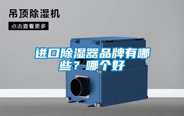 進(jìn)口除濕器品牌有哪些？哪個好