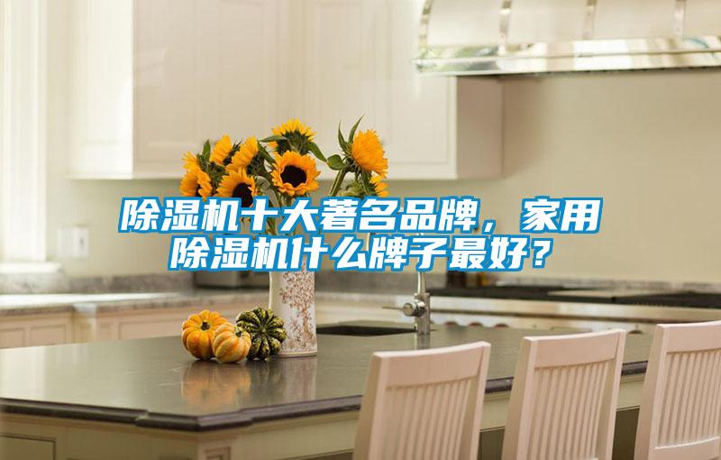 除濕機(jī)十大著名品牌，家用除濕機(jī)什么牌子最好？