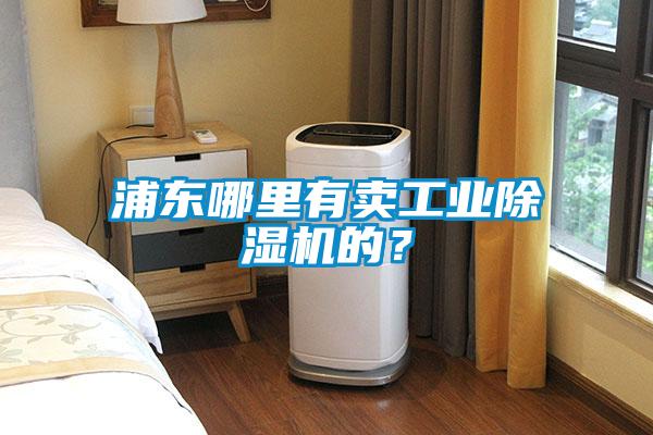浦東哪里有賣工業除濕機的？