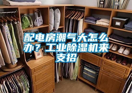 配電房潮氣大怎么辦?工業除濕機來支招