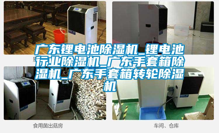 廣東鋰電池除濕機_鋰電池行業(yè)除濕機_廣東手套箱除濕機_廣東手套箱轉輪除濕機