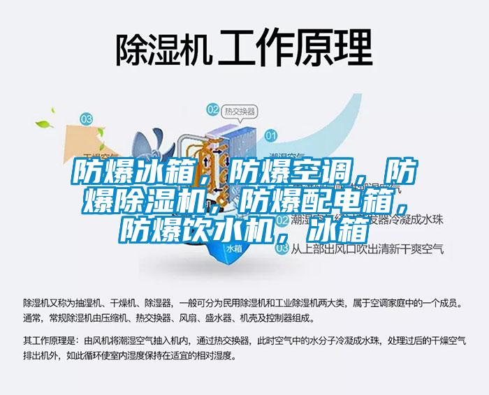防爆冰箱，防爆空調，防爆除濕機，防爆配電箱，防爆飲水機，冰箱