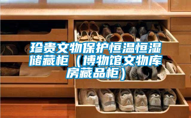 珍貴文物保護(hù)恒溫恒濕儲(chǔ)藏柜（博物館文物庫(kù)房藏品柜）