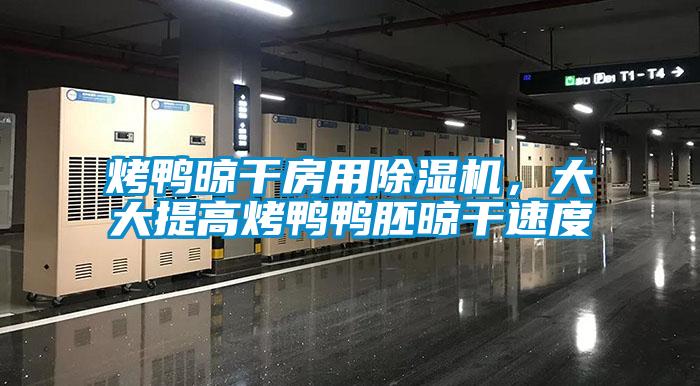 烤鴨晾干房用除濕機，大大提高烤鴨鴨胚晾干速度