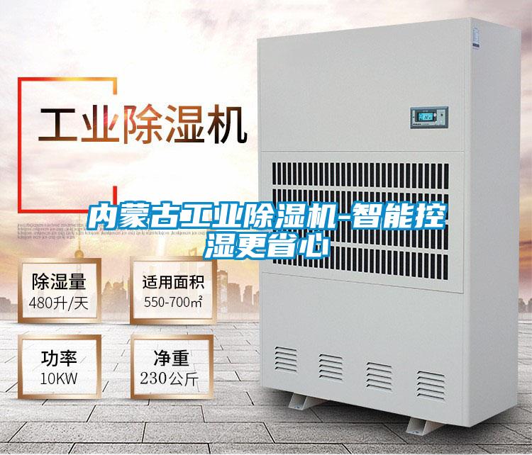 內(nèi)蒙古工業(yè)除濕機(jī)-智能控濕更省心